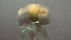 © FineArt