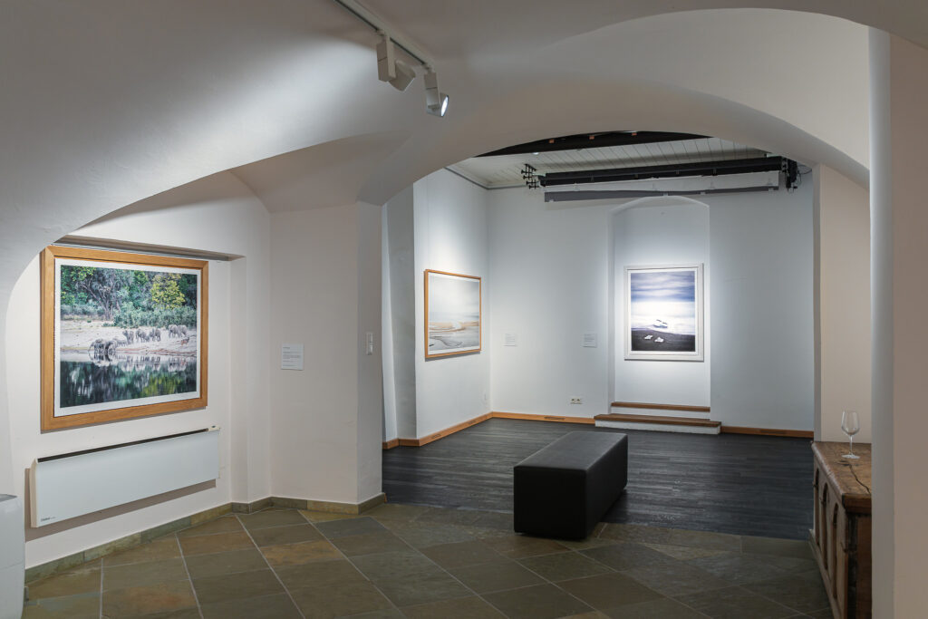 Ausstellung Searching Paradise, Wolfgang Mayerhoffer, Bild: (c) Michael Seirer