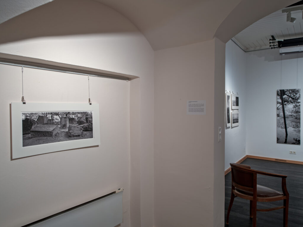 Martin Lutz, Fotografie 1995-2025