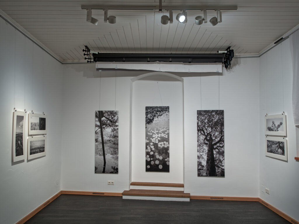Martin Lutz, Fotografie 1995-2025