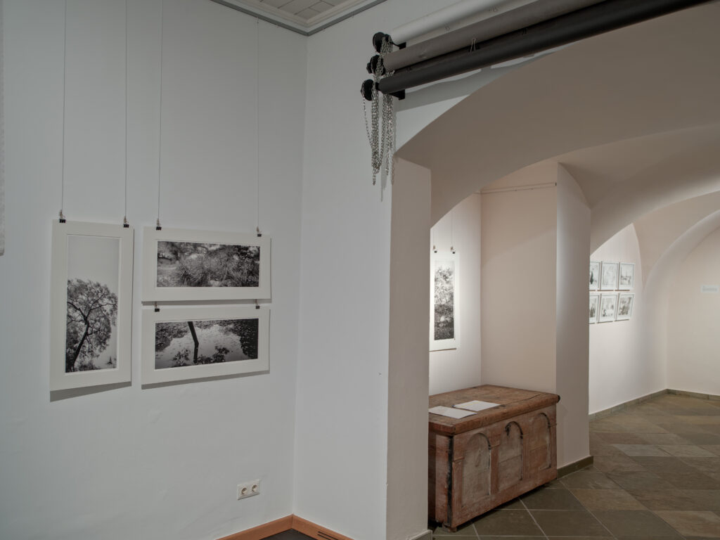 Martin Lutz, Fotografie 1995-2025