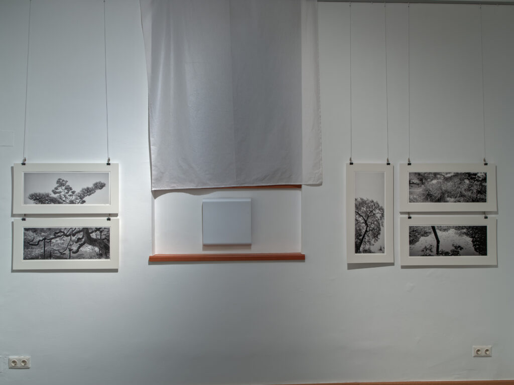 Martin Lutz, Fotografie 1995-2025