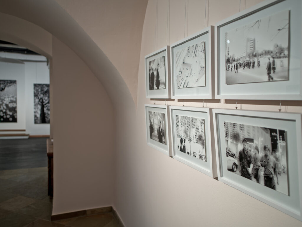 Martin Lutz, Fotografie 1995-2025